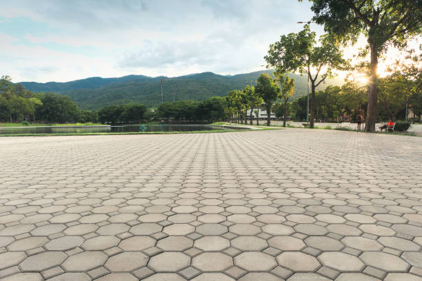 Best Custom Driveway Pavers  in La Selva Beach, CA