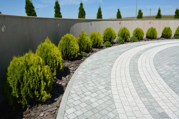 Best Residential Driveway Paver Services  in La Selva Beach, CA